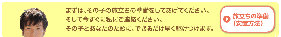 まずは、その子の旅立ちの準備をしてあげてください。